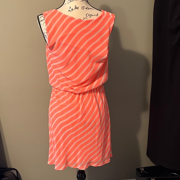 Express Dress - Picture 3 of 5